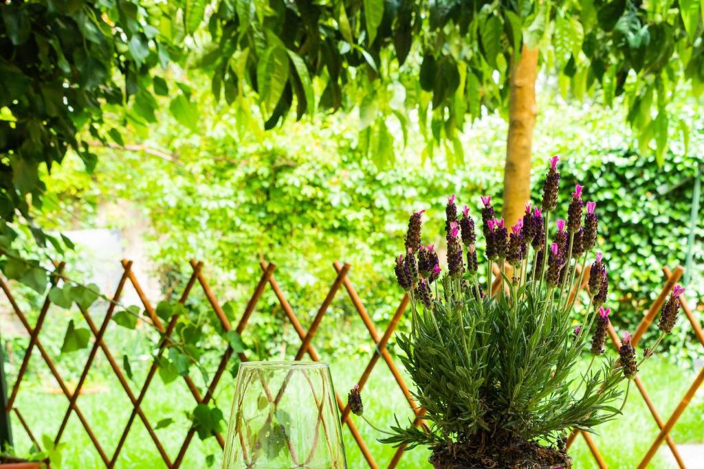 ピサMarylou Gardenhouseアパートメント エクステリア 写真